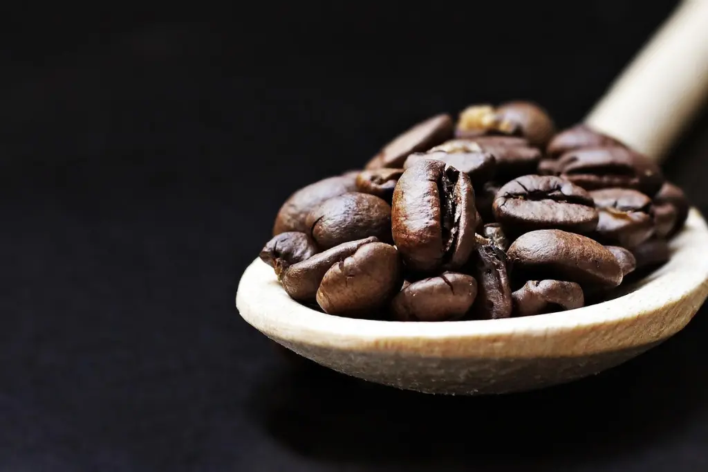 assaggiatore di caffe
